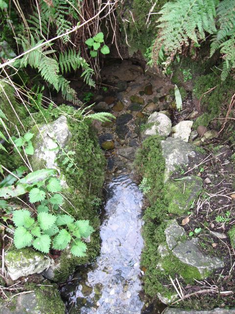  St. Patrick's Holy Well