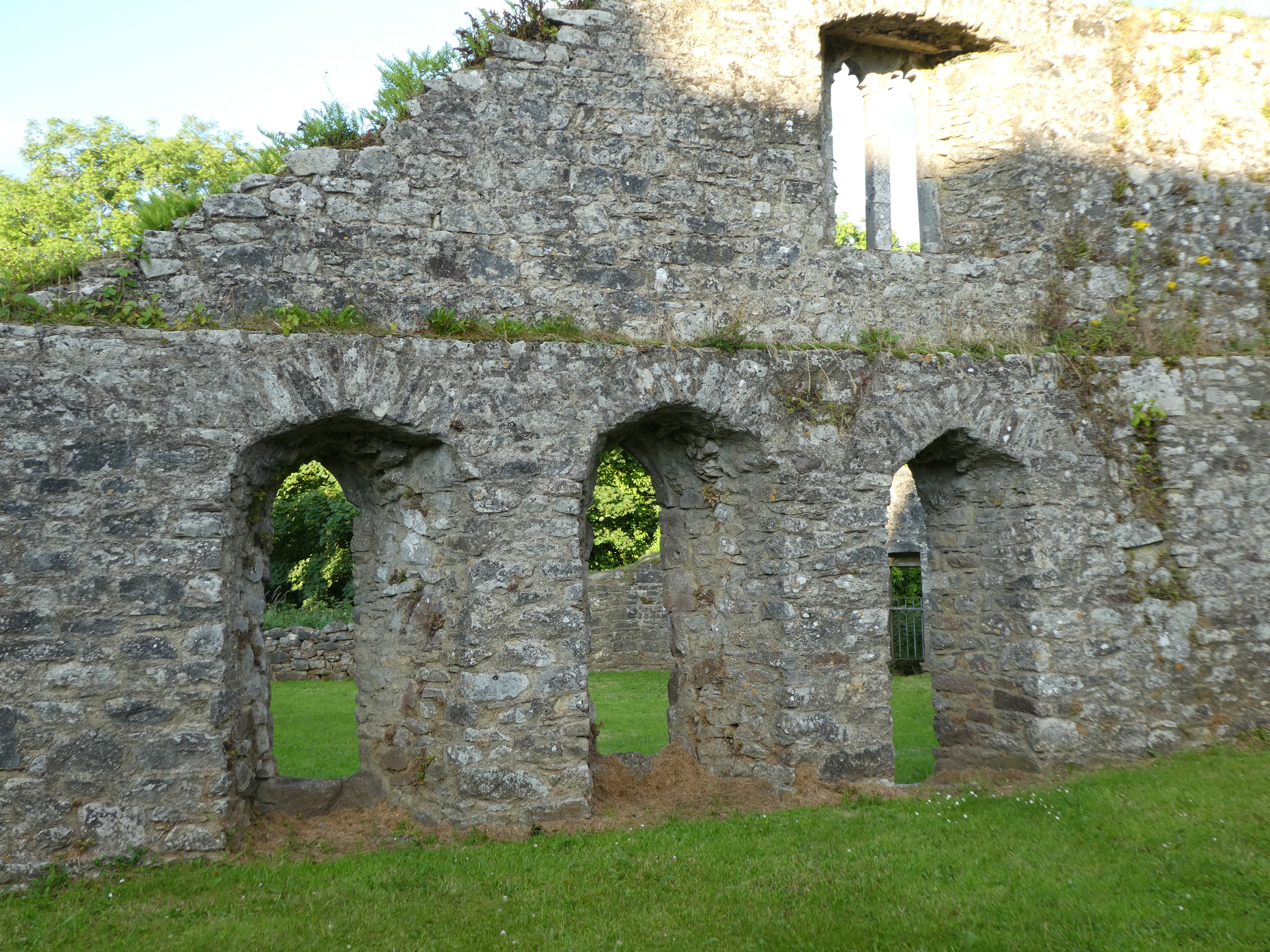 Bridgetown Priory, Castletownroche, Blackwater Castle